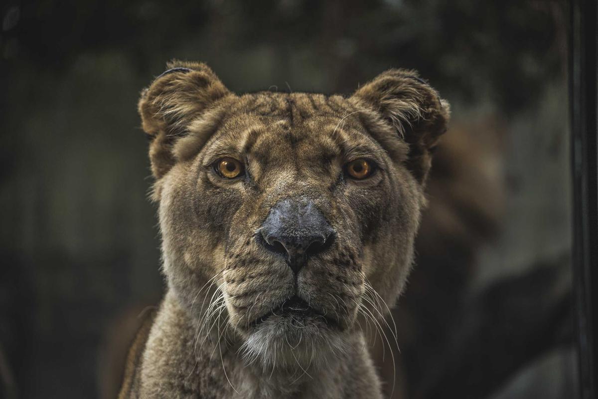 Foto ilustrativa